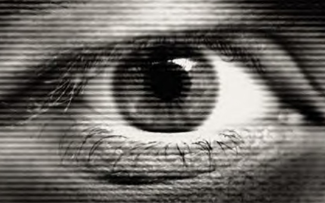 The Perception of Reality – Looking at Looking